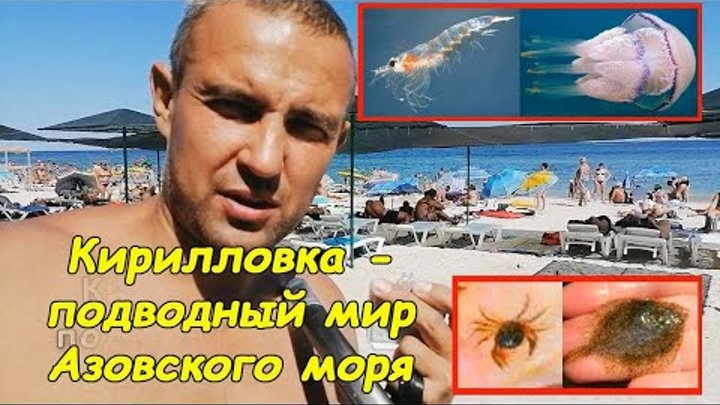 Кирилловка - подводный мир Азовского моря #деломастерабоится