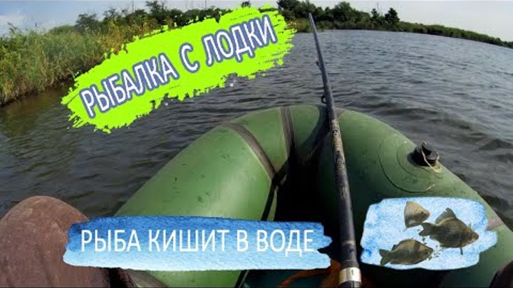 Рыбалка с лодки на удочку/ озеро кишит рыбой / Карась / Краснопер