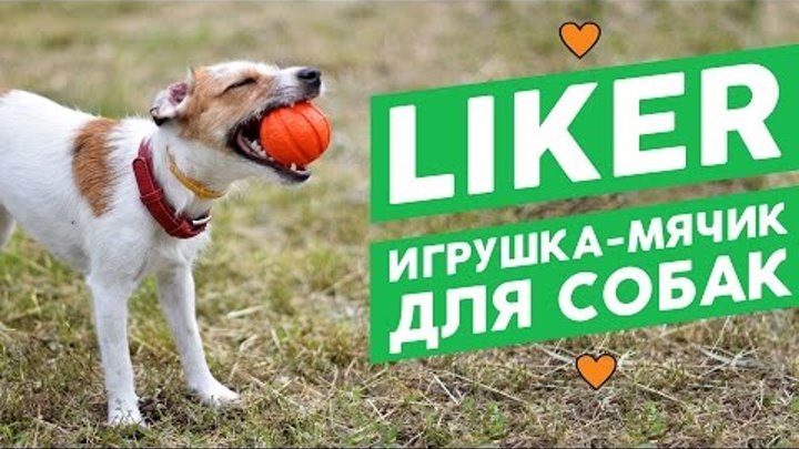 Игрушка-мячик для собак Liker/Лайкер