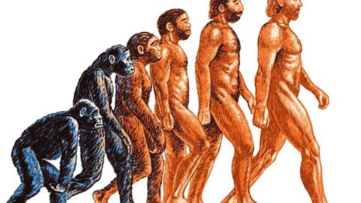 Презентация. 3 класс.Познание мира Раздел (сквозная тема): "Что такое хорошо и ч