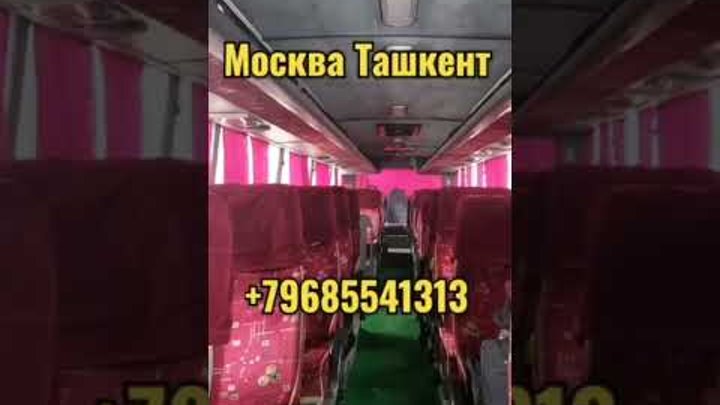 Москва Ташкент автобус #shorts #мигранты #рекомендации #янгиликлар # ...