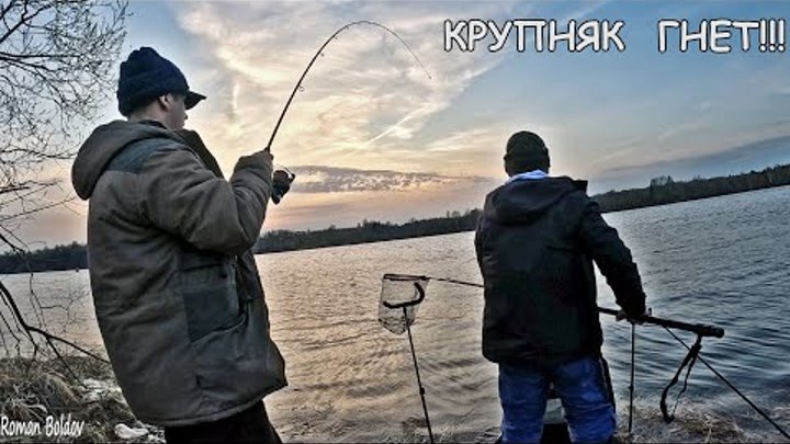 А ВЕЧЕРОМ ПРИПЛЫЛИ ОНИ! Крупный Лещ, Плотва, Густера. Донка, Фидер,  ...