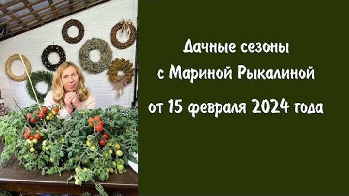 Дачные сезоны с Мариной Рыкалиной от 15 февраля 2024 года