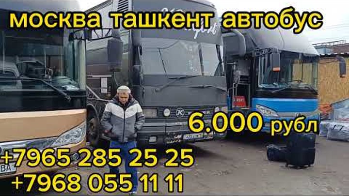 Москва ташкент автобус москва бухарова автобус москва сама кан автобус