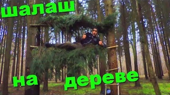 Ночевка на дереве