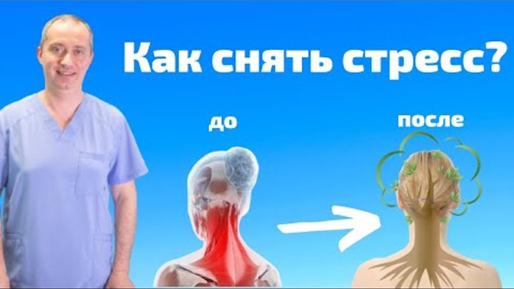 Как стресс убивает ваш иммунитет?! Упражнение и ароматерапия! - смотреть видео о