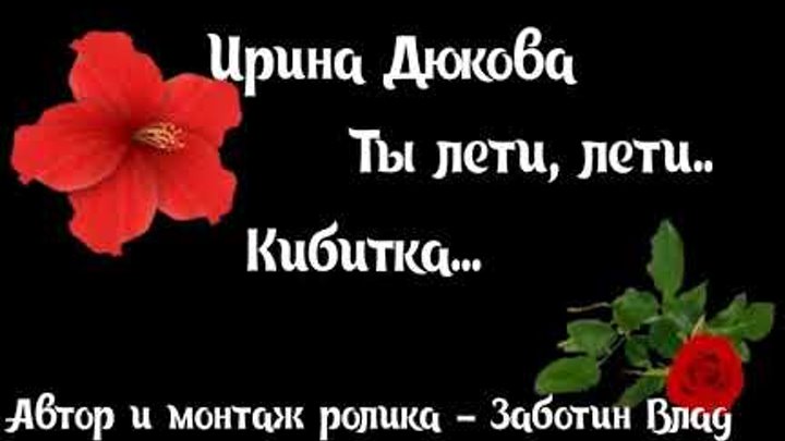 алиса кибитка табы. кармелита кибитка.