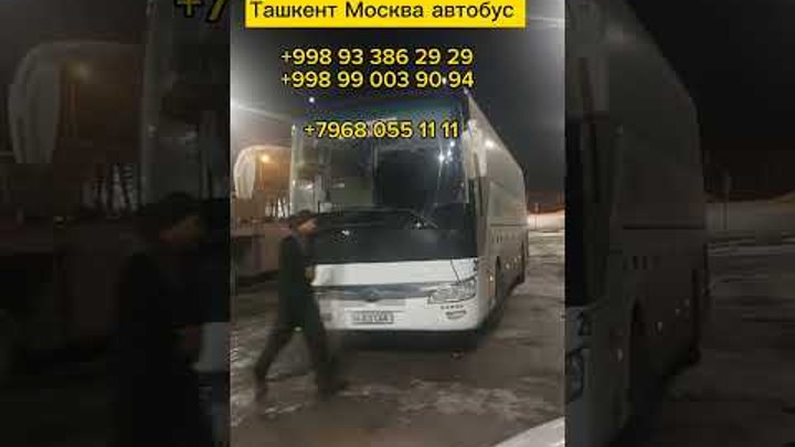 Ташкент Москва автобус