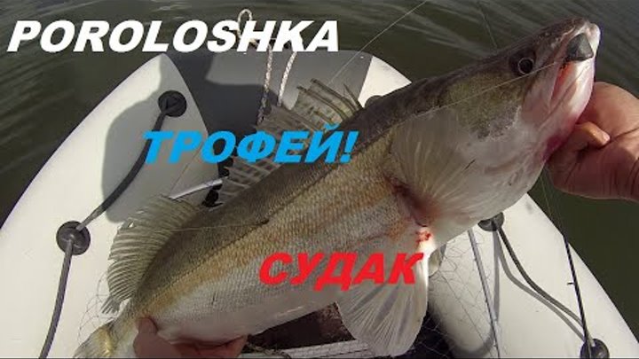 Poroloshka - Убийца трофейного судака, поролошка 8+ см Fishing, spin ...