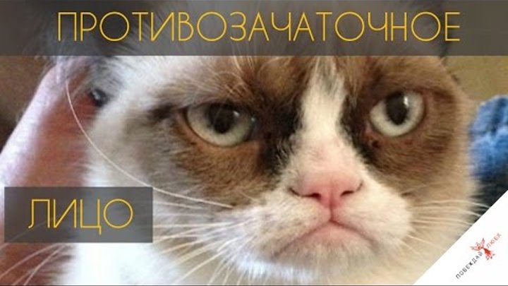 i?r=BEH7dJIjJJO0pjyIf46vcZ9Aa04Z8_tP_Vnk