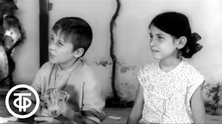 Канатоходец 1972