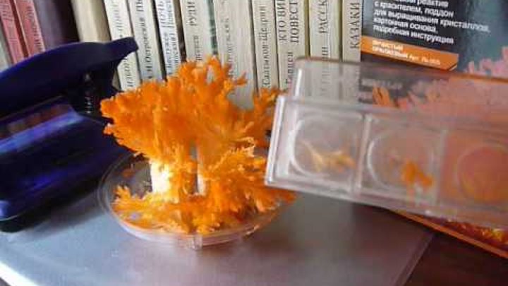 Лучистые кристаллы результат. Лучистые кристаллы genshin. Лучистый кристалл геншин. Геншин лучистый кристалл 33. Набор лучистые кристаллы.