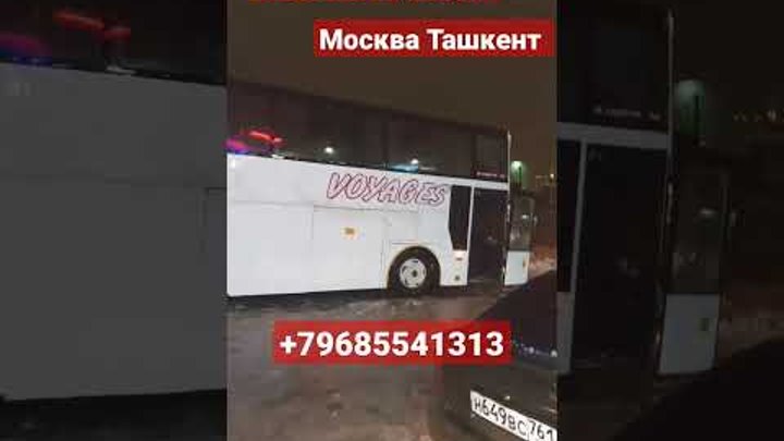 Москва Ташкент автобус #shorts #шортс