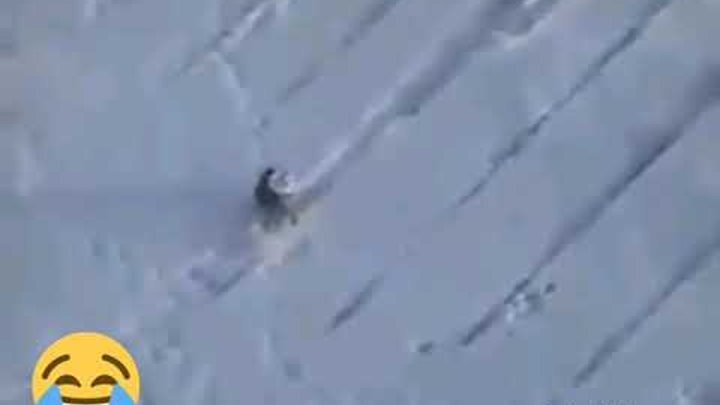 Ворона Катается На Майонезной Крышке