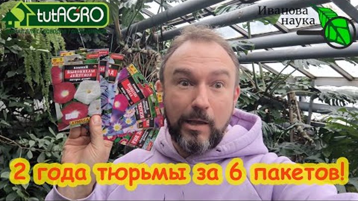 Семена.