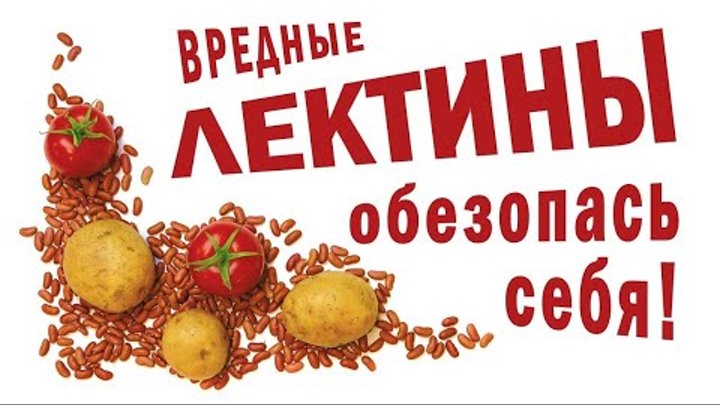 Лектины: загадочные БЕЛКИ в продуктах. Парадокс растений - миф!