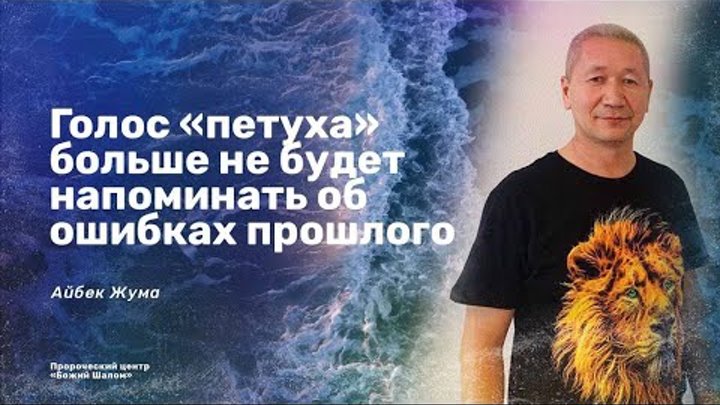 ГОЛОС «ПЕТУХА» БОЛЬШЕ НЕ БУДЕТ НАПОМИНАТЬ ОБ ОШИБКАХ ПРОШЛОГО/ ПРОРО ...