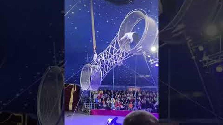 Цирк демидовых упал акробат. Цирк шапито демидовых. Цирк демидовых упал акробат. Акробаты под куполом цирка. Тропик шоу цирк тула.