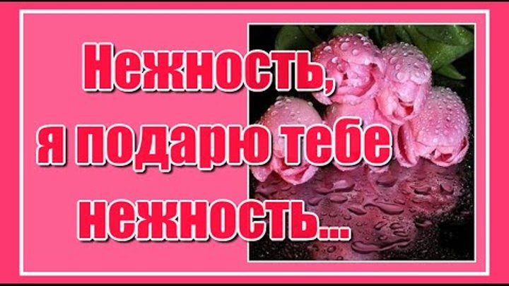 Нежность, я подарю тебе нежность... Любимые! С Международным женским ...