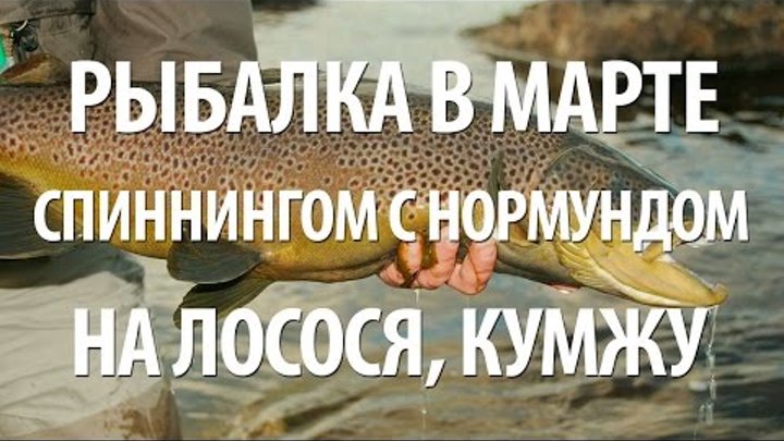 ВЕСЕННЯЯ СПИННИНГОВАЯ РЫБАЛКА в МАРТЕ на КУМЖУ, ЛОСОСЯ с НОРМУНДОМ Г ...