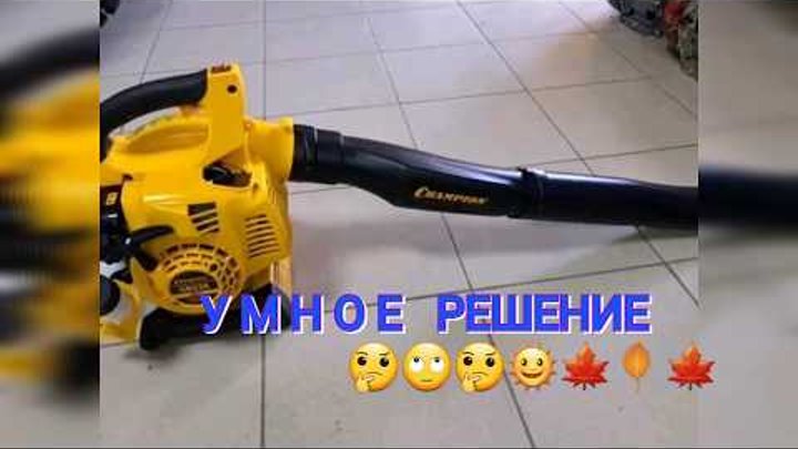 ВЕТРОДУЙ- СБОРЩИК ЛИСТЬЕВ