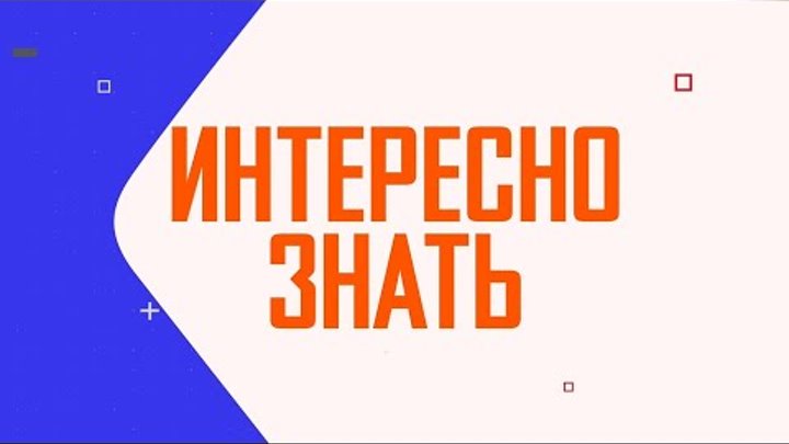 Интересно знать / Что входит в обязанности КСК?  / 25.04.24