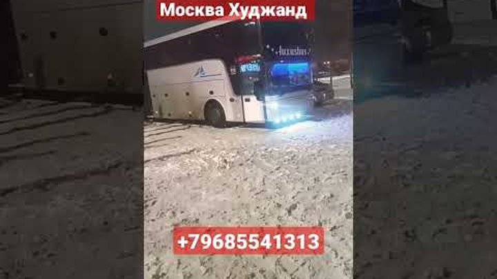 Москва Ташкент автобус #shorts #шортс