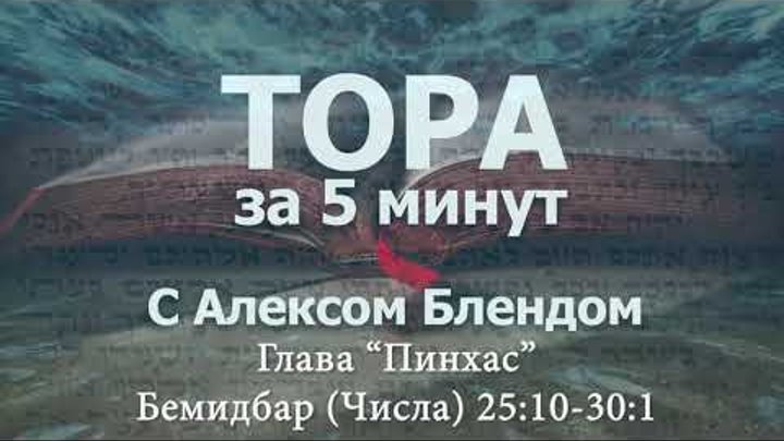 «ПИНХАС»|«Тора за 5 минут» — А.БЛЕНД