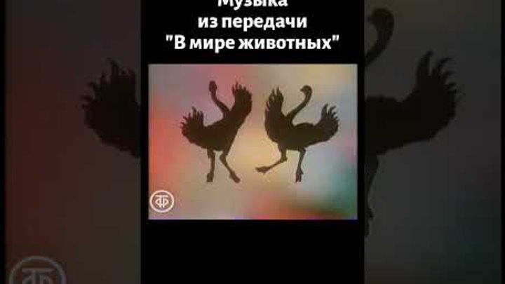 Мелодия про животных. Мелодия про животных. Мелодия про животных. Мелодия про животных. Мелодия про животных.