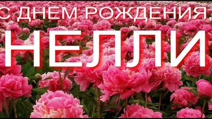 Нелли с днем рождения картинки