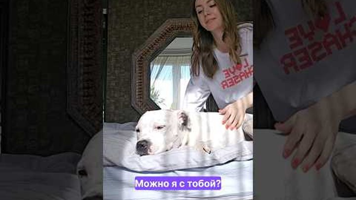 У кого также? 😂 #можноястобой