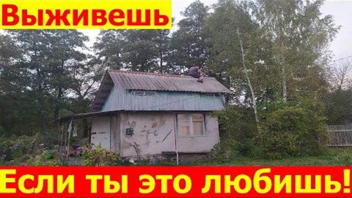 Стоит ли покупать дом в деревне селе Украина Киевская Черниговская о ...