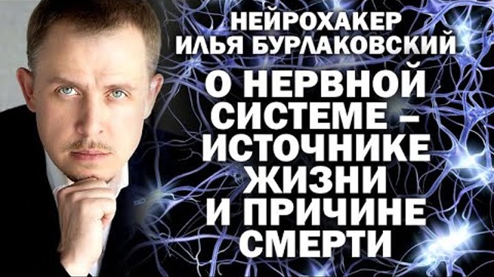 Илья Бурлаковский: откровения нейрохакера о нервной системе -  источ ...