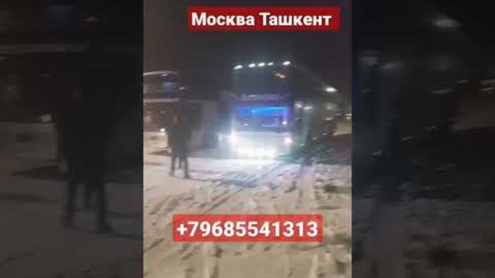Москва Ташкент автобус #шортс #shorts