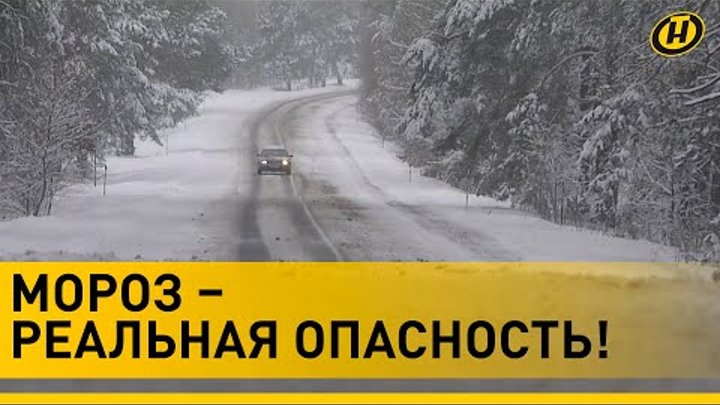 Гр дорога. Дмц группа. Дорога водана дорога водана 2005. Группа дорога 312. Дмц фото группа.