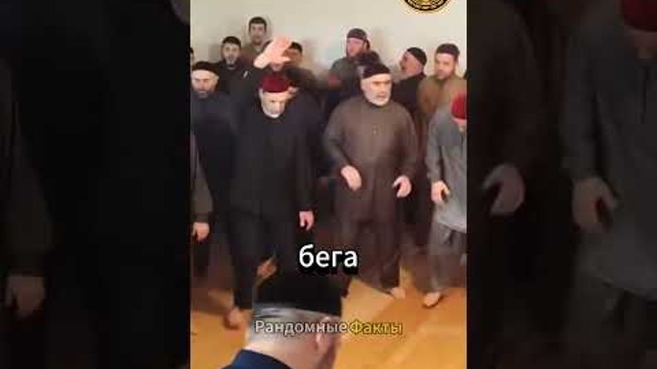 Зачем чеченцы бегают по кругу и кричат. Зикр чечня. Зикр у рамзана кадырова. Зачем чеченцы бегают по кругу и кричат. Что такое зикр у чеченцев.