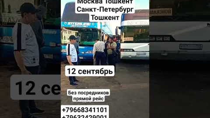 Москва Тошкент Санкт-Петербург Тошкент автобус #москва #avtobus #ташкент