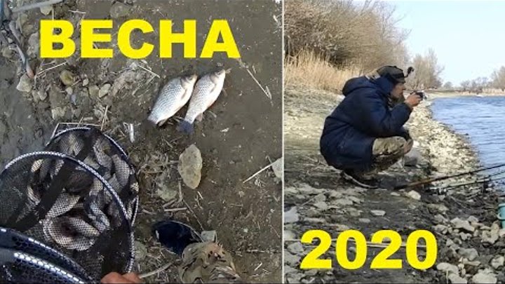 Рыбалка на поплавок 2020 - КАРАСЬ ПРЁТ на удочку, фидер + хорошая тарань