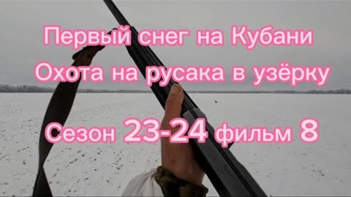 Первый снег на Кубани,охота на зайца русака в узёрку.Сезон 23-24 фил ...