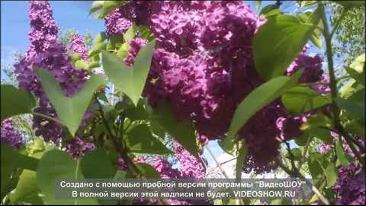 Видео поздравление с 95 - летием Усольского района