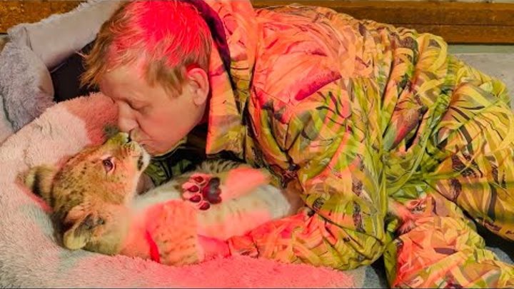 Львята асада и шерхан сегодня. Львята асада и шерхан сегодня. Львята асада и шерхан сегодня. Львята асада и шерхан сегодня. Львята асада и шерхан сегодня.