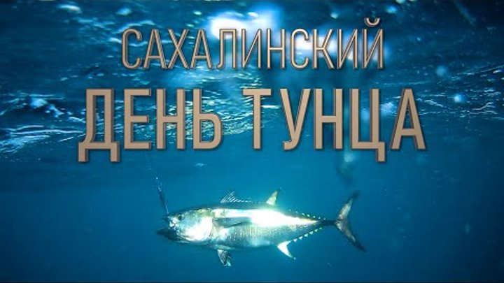 Сахалинский тунец! Соревнование по ловле тунца, разделка огромной ры ...
