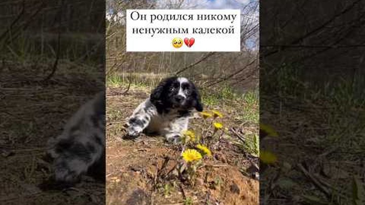 Сема родился калекой в семье алкашей😢