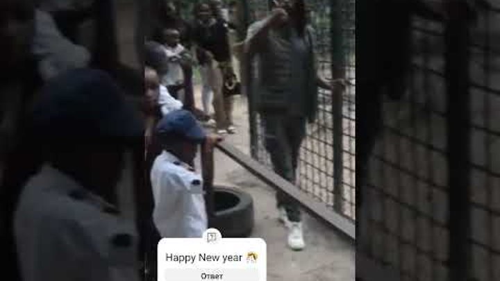 Happy New year from Tanzania! #animal #карендаллакян #shortvideo #li ...