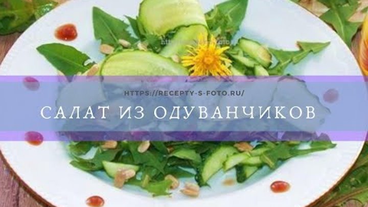 Салат из одуванчиков рецепт приготовления витаминного блюда.