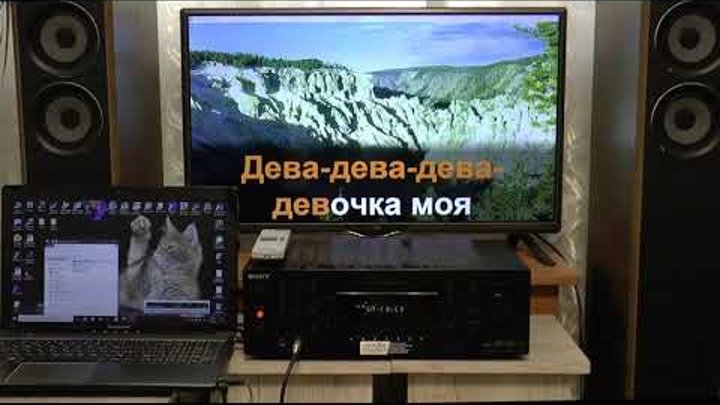 Sony STR-DK5 - ресивер для караоке.
