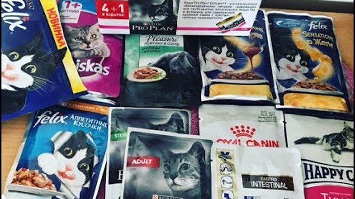 КОРМ ДЛЯ КОШЕК. ДЕШЕВЫЙ И ДОРОГОЙ. ПОЛЕЗНЫЙ И ВРЕДНЫЙ. (чем кормить ...