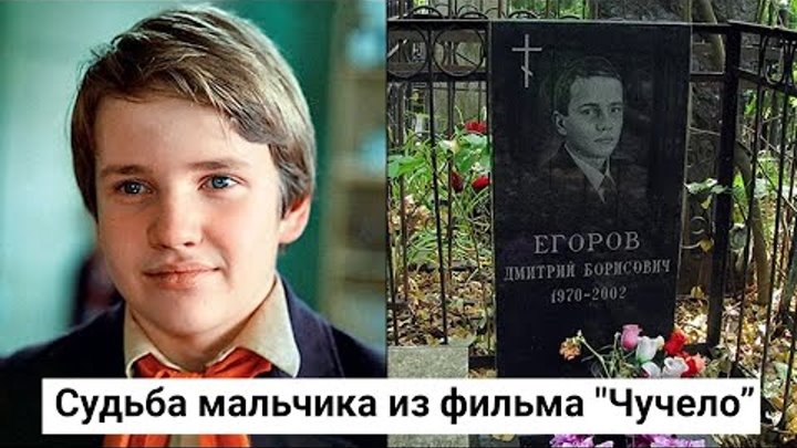 Вика мишукова ералаш. Как сложились судьбы пацанов. Как сложились судьбы пацанов. Как сложились судьбы пацанов. Актёр из терминатора 2 мальчик.