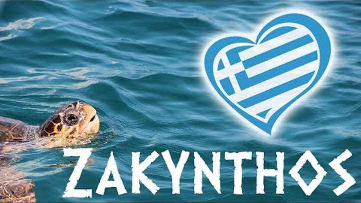 Turtle spotting at Zakynthos. Черепахи каретта-каретта, Закинф. Παρα ...