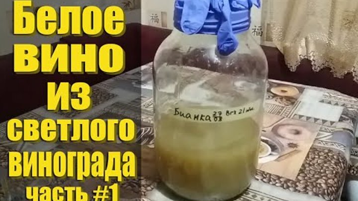 Бокалы для белого вина. Лето вино. Соус томатный с вином. Вино для приготовления пищи. Вино из белого винограда.